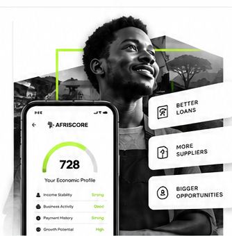 Afriscore economic profile concept illustration.