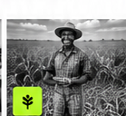 African farmer and food systems.