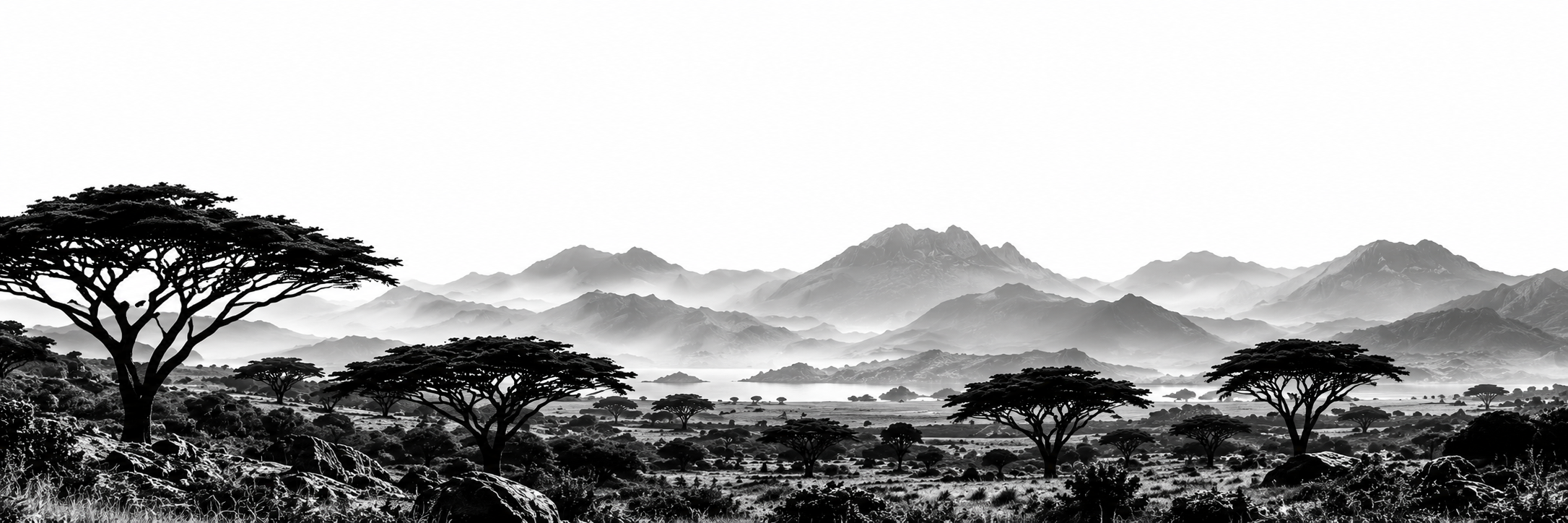 Monochrome African highlands with acacia trees and mist.